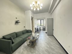 丽水莲都东苑万地小转盘银泰 城中公寓 两室一厅 轻奢风 大床房 押一付一出租房源真实图片