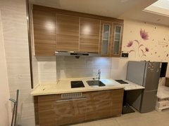 郴州苏仙爱莲湖青年大道 恒大帝景精装公寓出租 800包物业出租房源真实图片