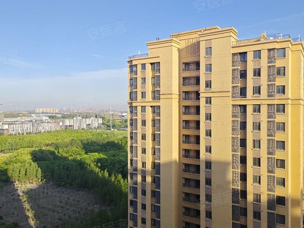 上海宝山罗泾旭辉城开发商装修 可自己配置家具家电 租金可优惠出租