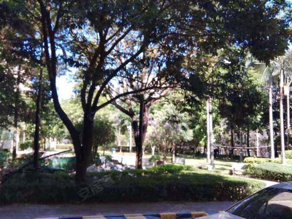 【多图】心怡花园,布心租房,心怡花园近地铁口大三房南北通随时入住