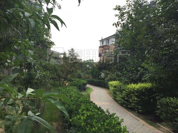 【多图】西山美墅馆(e区),香山租房,独栋别墅 5室2厅 西山美墅馆(e区)