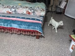 大丰大中大中城区瑞城国际苑 1室1厅1卫出租房源真实图片