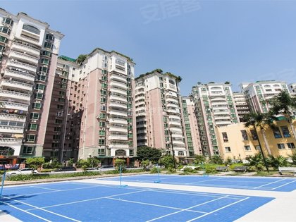 碧湖花园(罗湖),洪湖路20号 - 深圳碧湖花园(罗湖)二手房,租房,房价