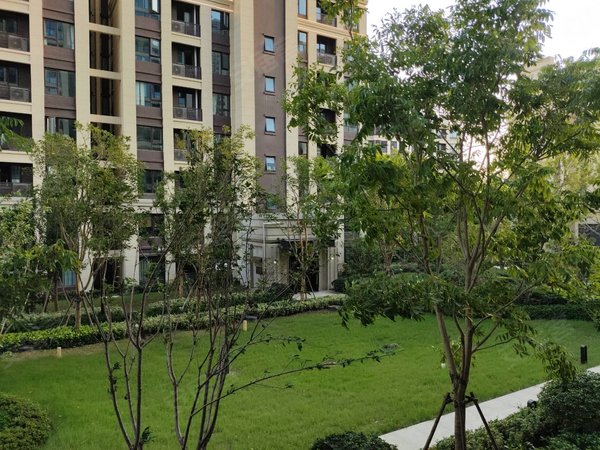 昆山花桥花桥老镇龙光花溪澜园龙光花溪澜园精装3繁房2800出租房源