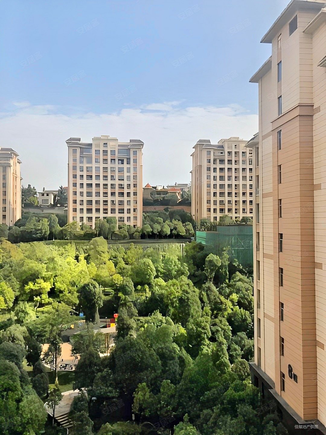 板式小高层总高11楼南北通透超低价格一套急售