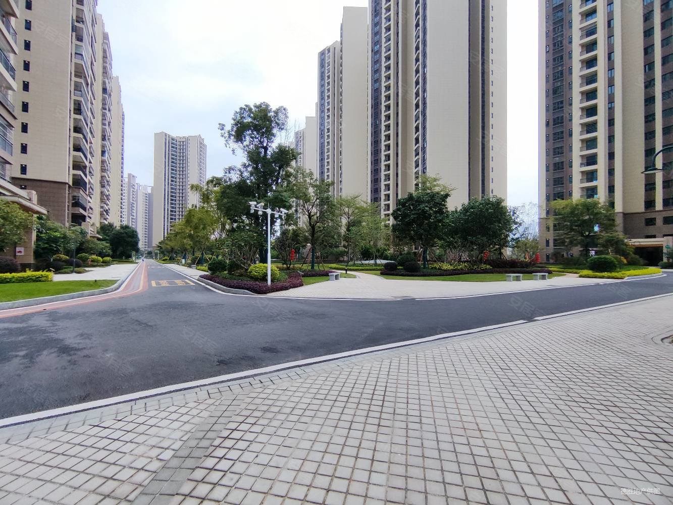 碧桂园雅居乐大名府