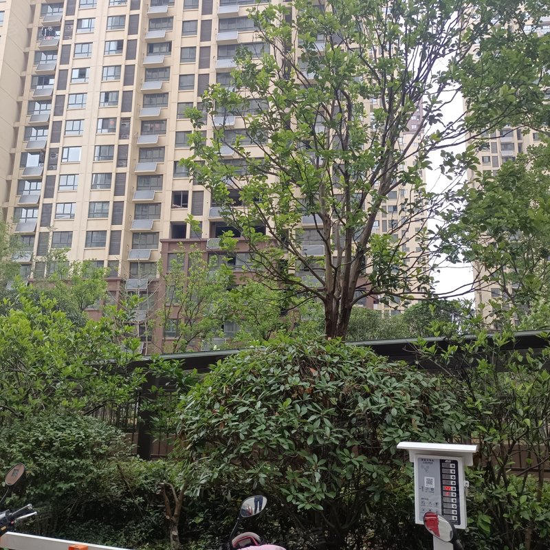 汇金国际广场小区详情,房价走势,房源,业主论坛】- 六安58同城