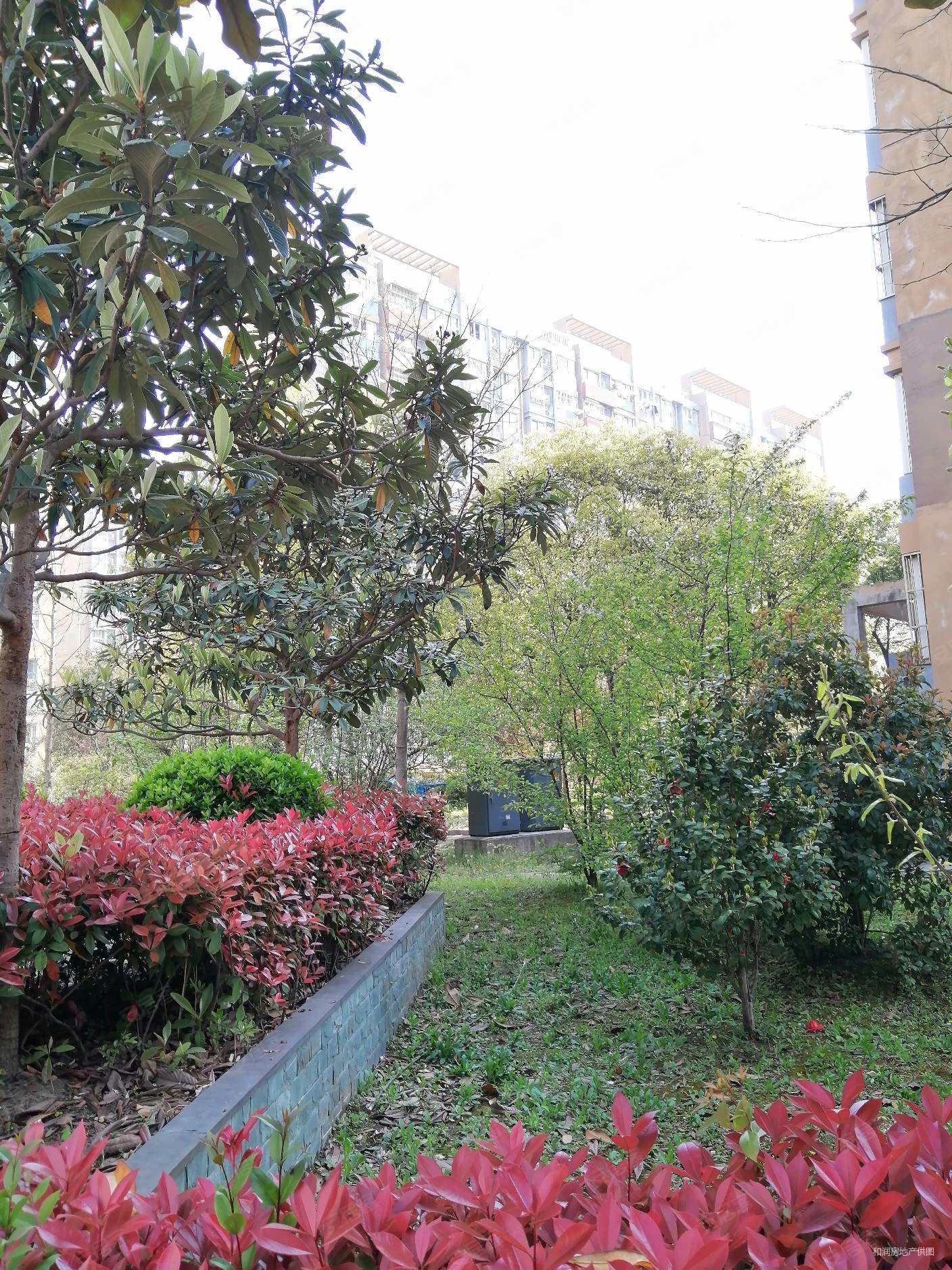 金港花园107平精装修3房楼层采光好靠金山花园金港北苑