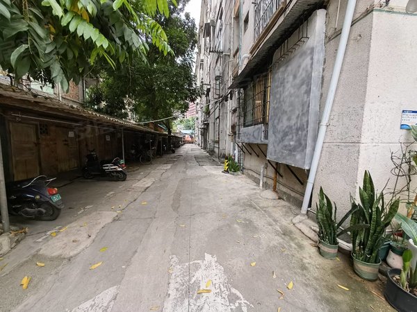 南宁青秀七星桃源广西区商务厅桃源大院桃源路 商务厅大院 3房2厅