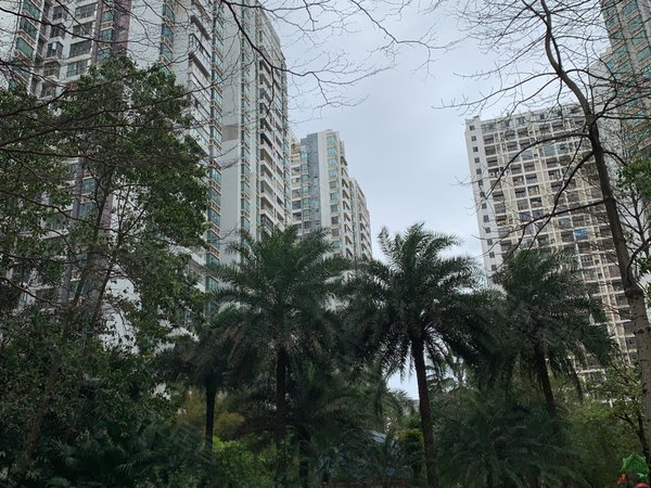 【多图】德瑞花园,东盟商务租房,万象城东盟商务区幸福里地铁口航洋