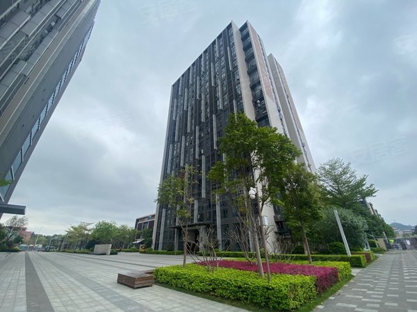 广州番禺大石天睿现代简约风南向高层 天睿别墅小区 民电实拍图 看房