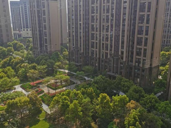 绍兴柯桥柯桥金地铂悦金地铂悦精装3室家电齐全拎包入住出租房源真实