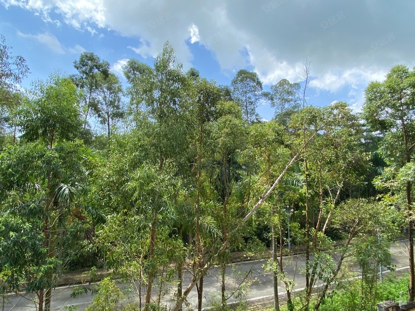 珠海房产网>珠海二手房>高新区二手房>唐家湾二手房>远大美域新城>