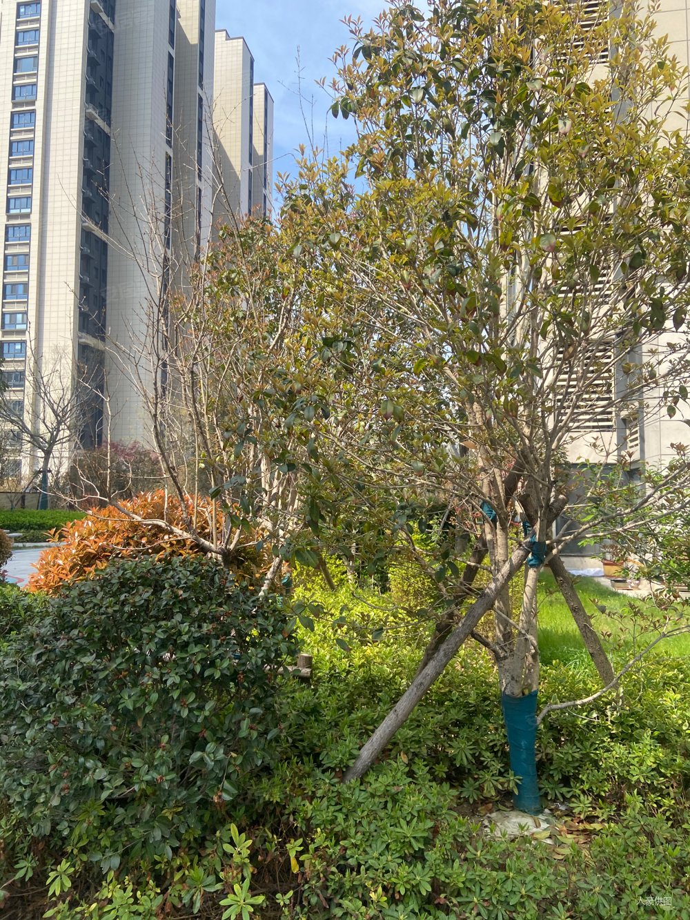 徐州房产网>徐州二手房>新城二手房>新市政府二手房>维维紫悦台>