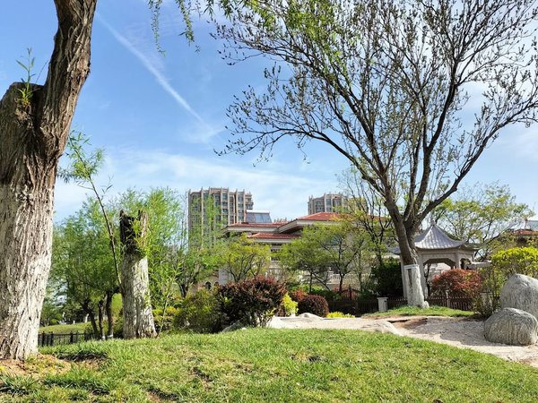 【多图】青岛碧桂园,棘洪滩租房,碧桂园精装套三双卫好房出租!