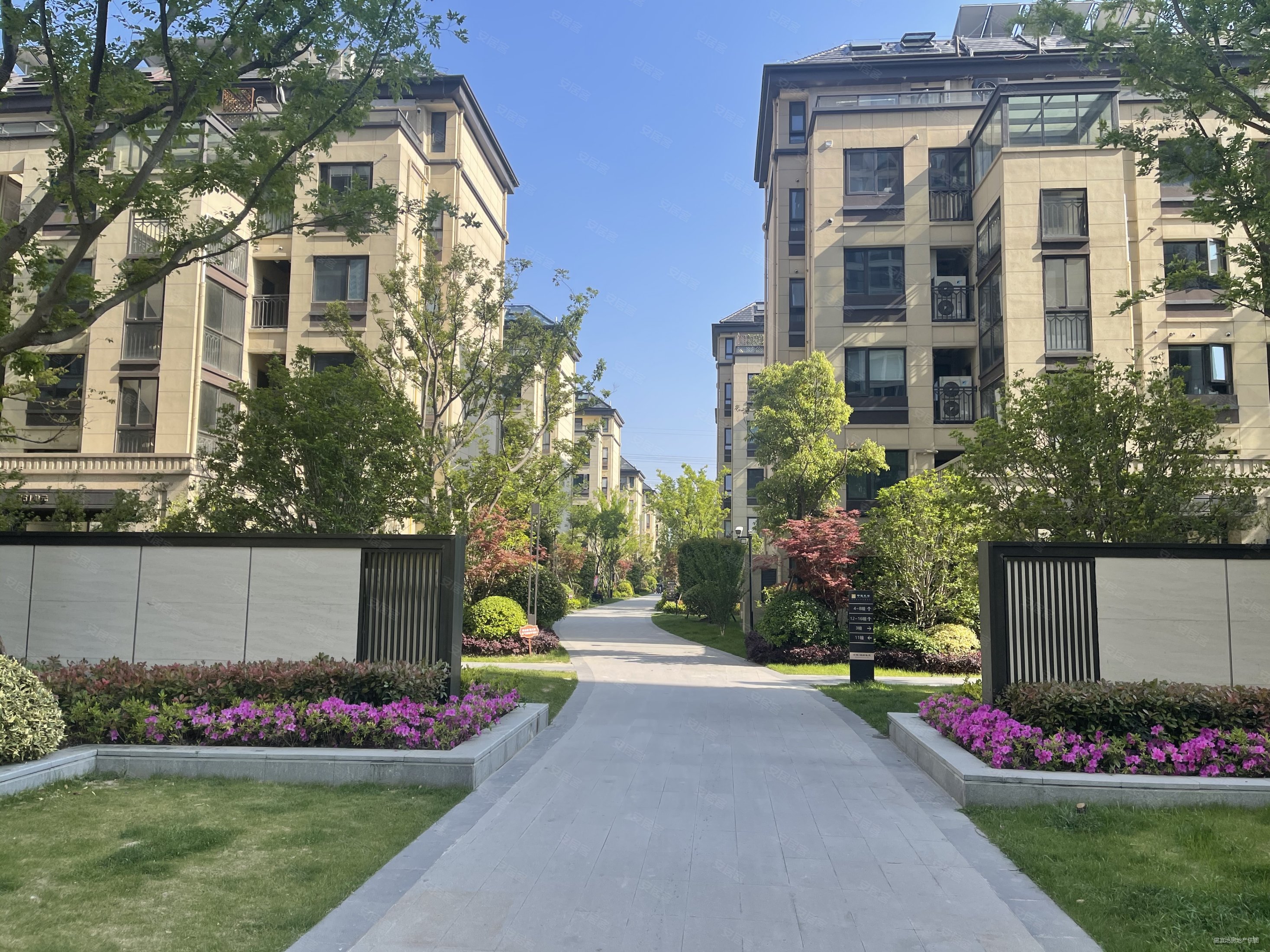 上外双语金瑞国际中建阅澜山南北通透业主急售