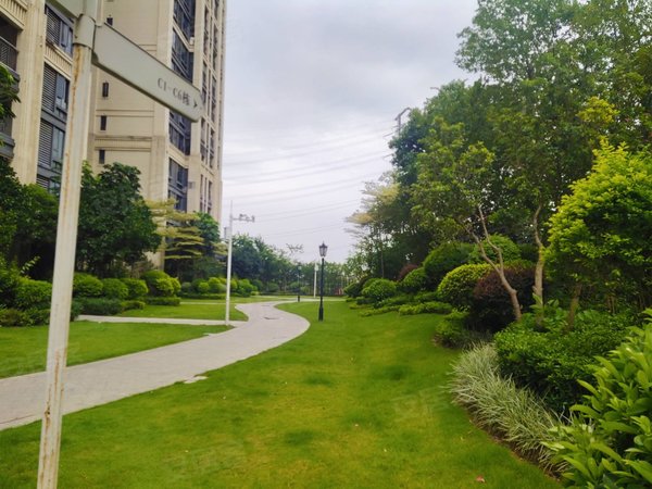 永和开发区租房,实地常春藤(四期) 4室2厅2卫 南北通透 配套齐全,黄埔