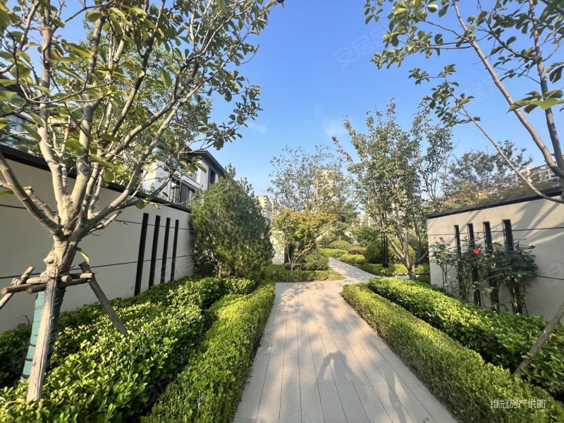 青岛核心湾区!融创红岛湾 70年产权 联排别墅 附赠,湾