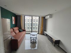 东莞黄江天虹融创公园首府 精装复式两房 租客免佣 随时看房 拎包入住出租房源真实图片