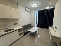 东莞东坑东坑城区中央松湖30平2房，房间改装空间大6米层高随时看房出租房源真实图片