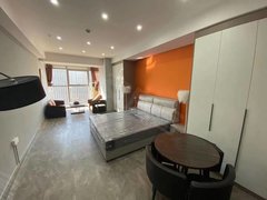 蚌埠蚌山新城区奥园广场 银泰 南翔 时代精装公寓 部分房源免中介 随时看房出租房源真实图片