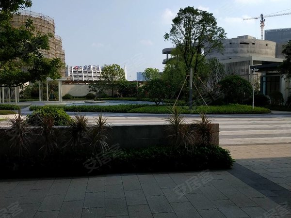 广州南沙金洲颐德湾尚颐德湾尚 一线江景 配齐出租出租房源真实图片