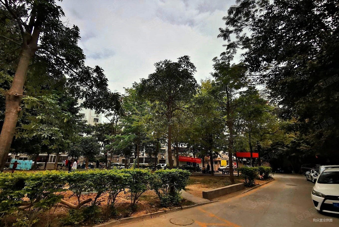 仙林金小电梯三房南大和园空调加地暖随时看房