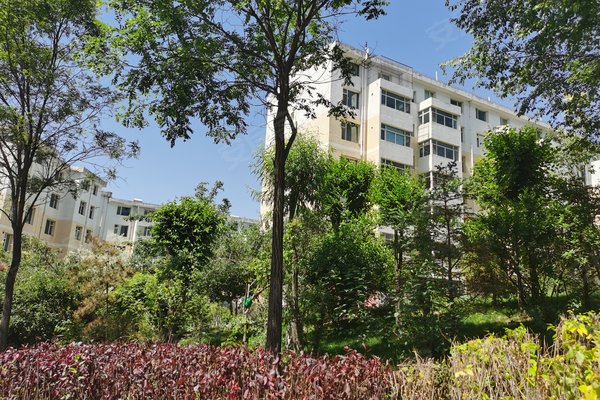 金帝都市花园,柴达木路26号-西宁金帝都市花园二手房,租房-西宁安居客