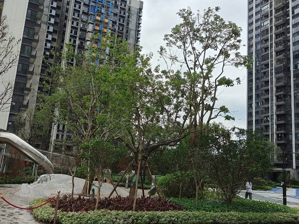 【多图】雅居乐滨江雅苑,太平镇租房,雅居乐滨江雅苑,空房出租,随时