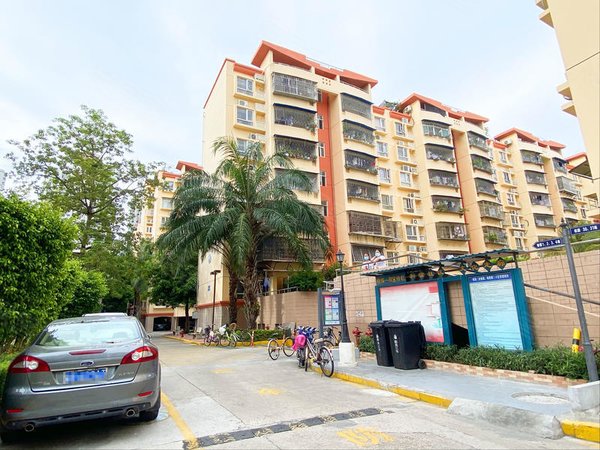 深圳罗湖蔡屋围桂木园小区桂园小区一期 3室2厅81.