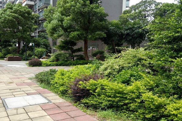 不足,誉港湾花园怎么样,誉港湾花园周边房产中介经纪人评价-中山安居