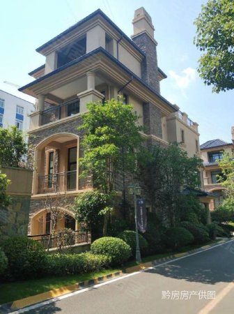 龙洞堡 经典天成 独栋别墅 环境优美 毛坯带大花园.