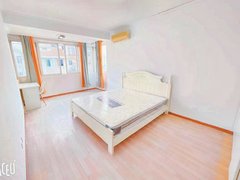 苏州沧浪南门人民桥南 南门 泰华商城 蓝园芳华 美地茶城 市实小 苏纶场出租房源真实图片