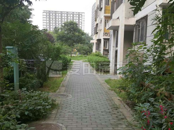 回龙观租房,南北通透 2室1厅 龙跃苑(东四区),昌平租房-北京58安居客