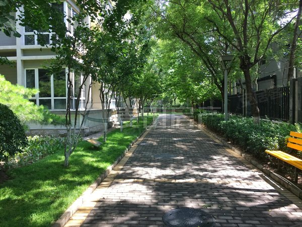 【多图】亮马名居,朝阳公园租房,南北通透两居室 公园观景房 精装简欧