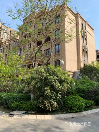 北二环边 绿地洋房 底跃带花园 550万带车位 精装家具全送