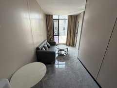 深圳龙岗龙岗中心城龙岗中心城近万科金地龙城 电梯精装一房一厅 落地窗 全屋定制出租房源真实图片