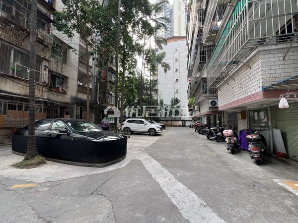 南宁青秀建政文化大院精装配齐看上都好谈合租家庭租均可只租有缘人