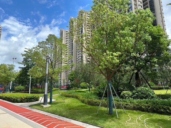 惠州大亚湾西区美茵河畔花园临深精装全新全齐三房 拎包入住出租房源