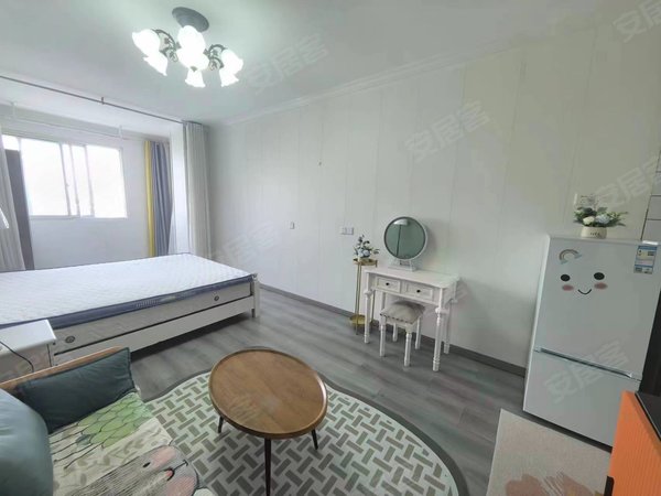 【多图】华东公寓大楼,苏苑租房,精装公寓 下楼地铁口出行便利 商圈