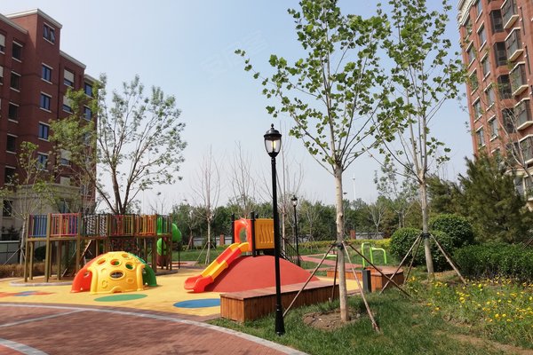 亿利国际生态岛