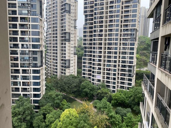 重庆南岸弹子石龙湖郦江南岸区 龙湖郦江 四房 3500元月出租房源真实
