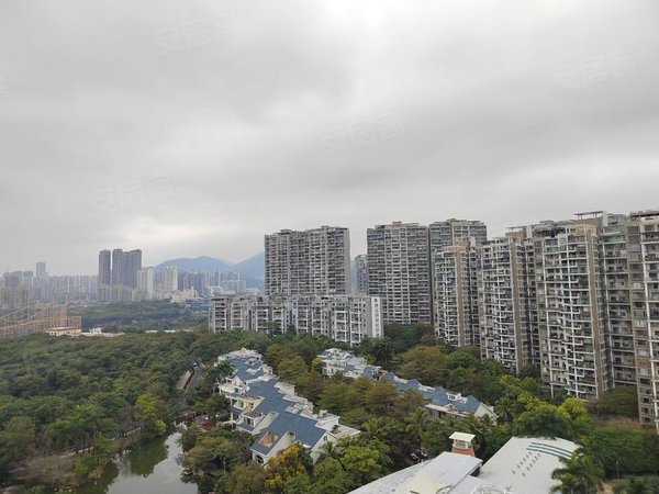 深圳福田香蜜湖水榭花都水榭花都三期厅房全南向,客厅大,阳台大,看房