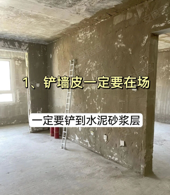 内容图片
