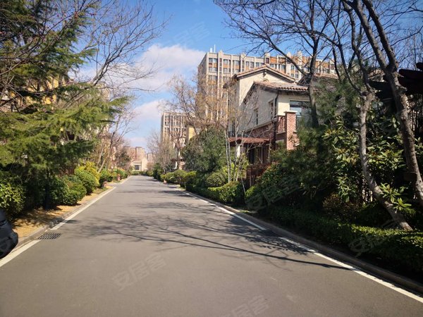 青岛城阳流亭龙湖滟澜海岸(16号别墅)龙湖类独栋别墅,办公合适,装修