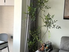 金华婺城湖海塘云悦臻境 4室2厅2卫出租房源真实图片