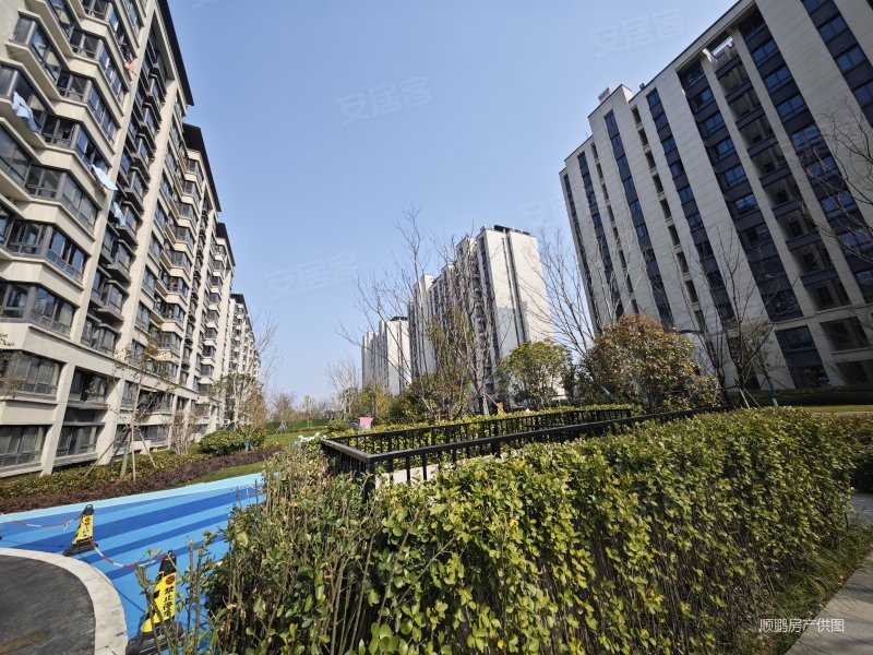 禄口精妆现房开年特价纯正洋房带教育带商业