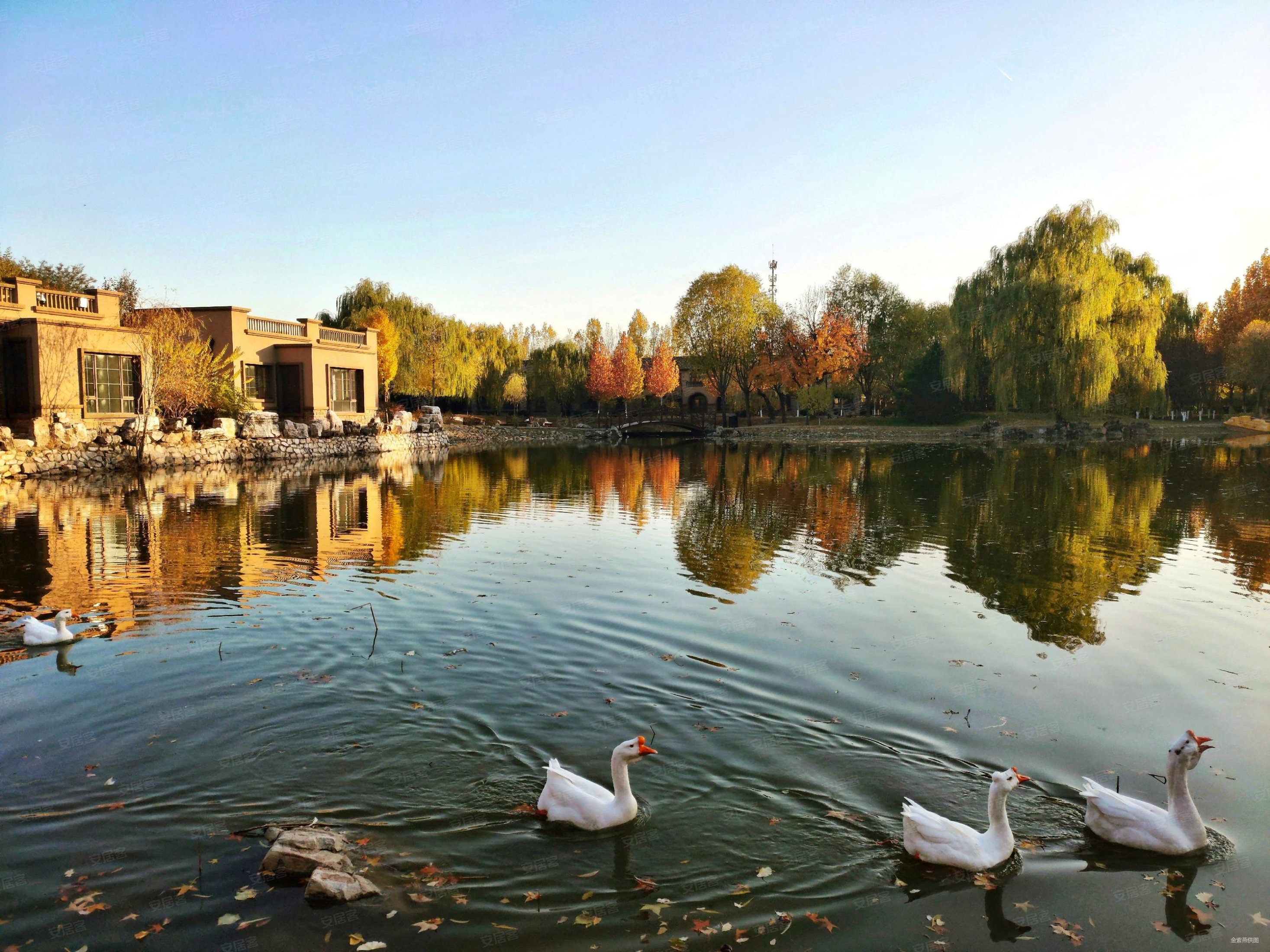 三面朝南 双主卧 父母孩子都有阳光 通透双卫,浅山香邑二手房,200万,3