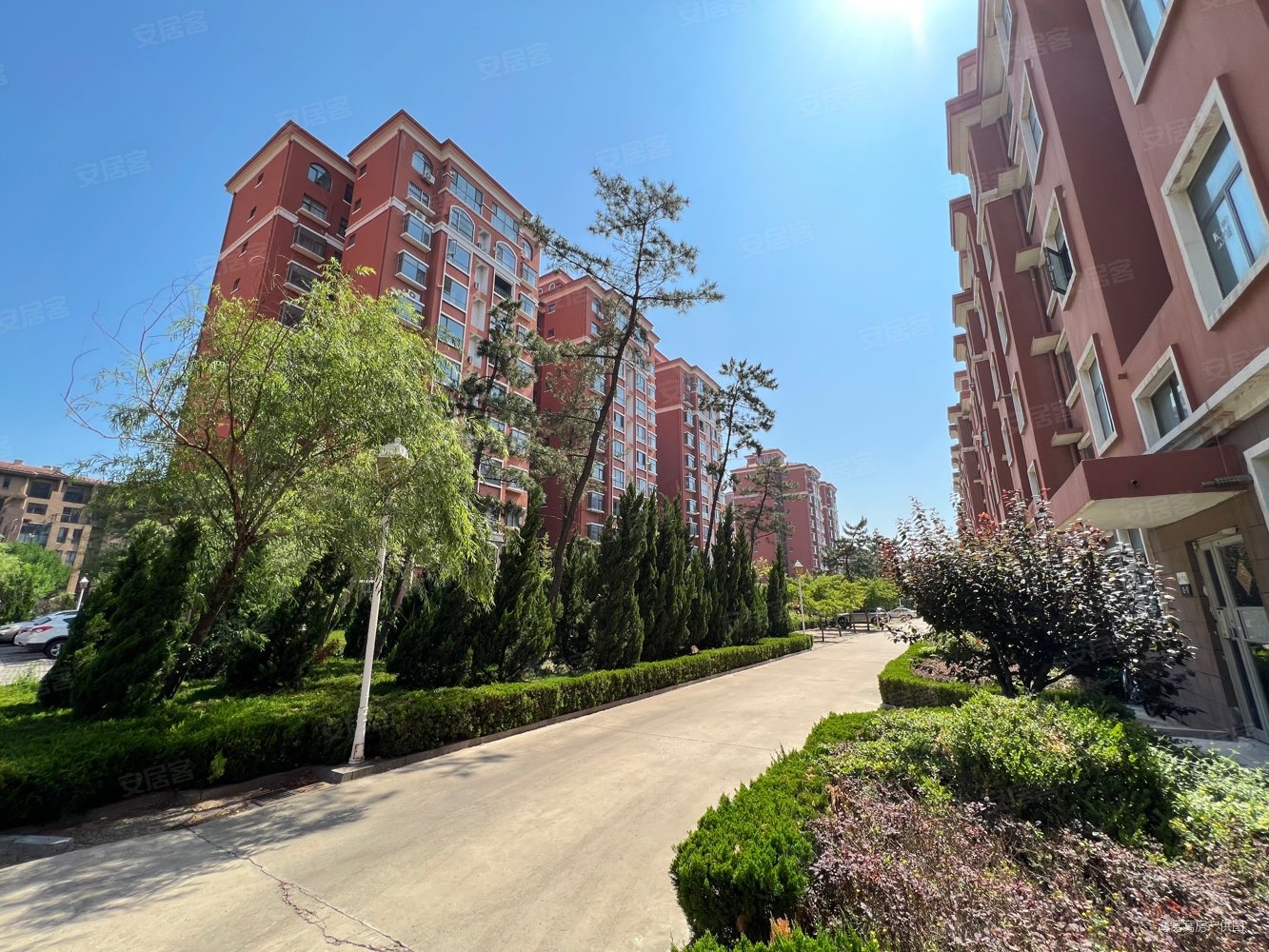 降价一万仅85vv欧洲苑35平电梯开间石墨烯供暖