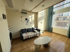 青岛城阳实验二小家佳源 万达广场 青特赫府二期商住楼 精装修loft套一出租房源真实图片